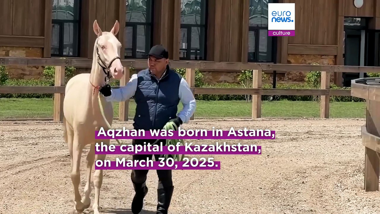 Good breeding: Kazakh 'satin' horse becomes new national symbol
