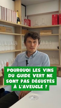 🍷 Pourquoi les vins du Guide Vert ne sont-ils pas dégustés à l'aveugle ?