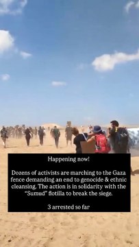 Gaza, gli attivisti israeliani al confine: quattro arresti