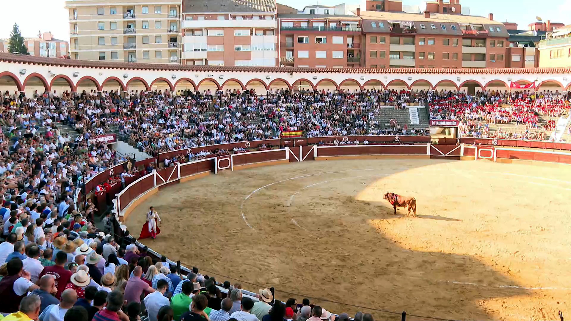 Festejos de Burgos, Soria, Zamora, León, Segovia, Alicante y Algeciras