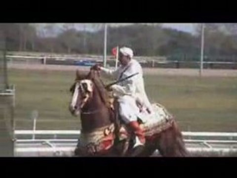 france Maroc- Les Sables d'Olonnes - Fantasia