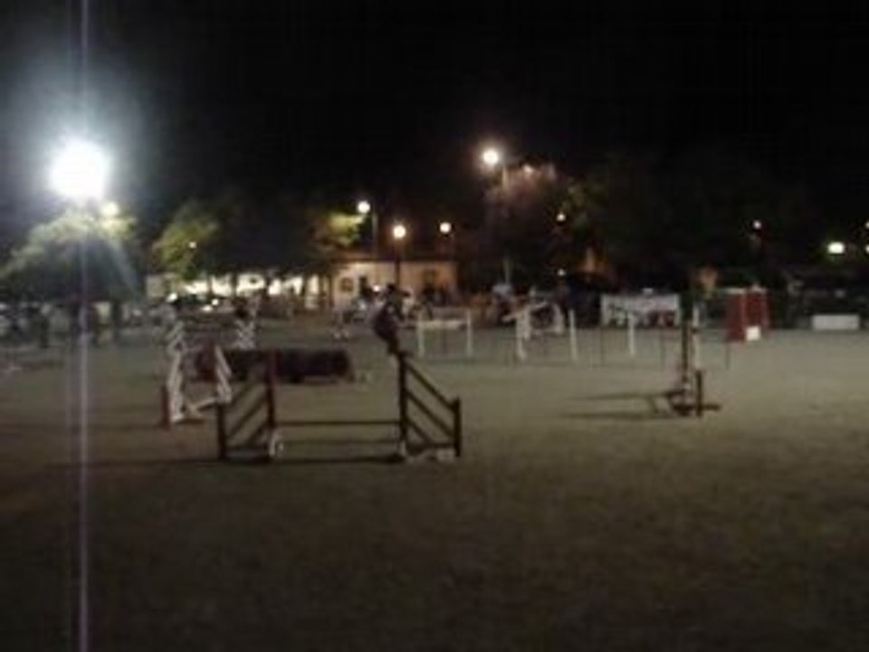 Jumping bambou