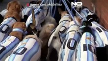 Argentina: cães vestem camisolas da seleção enquanto a febre do Mundial cresce em Buenos Aires