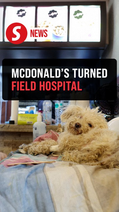 From burgers to bandages: Doctors turn La Guaira McDonald's into medical center for quake survivors