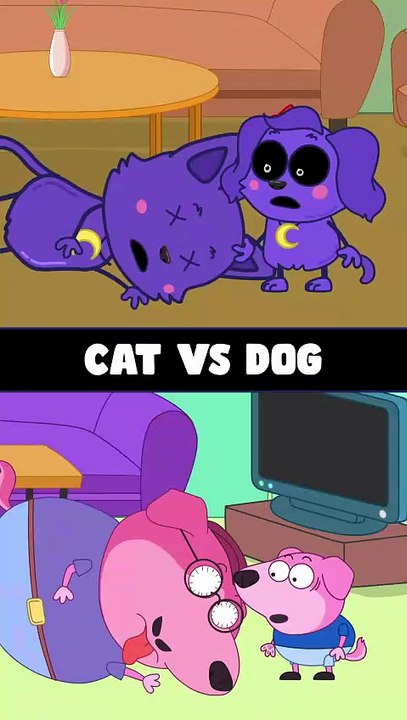 When you collapse,your pet