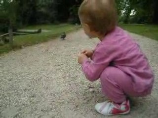 Marie-lou et les canards