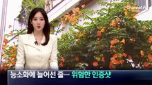 능소화에 늘어선 줄…위험한 인증샷