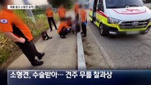 ‘뱀 학대’ 영상 올렸다가…벌금 100만 원