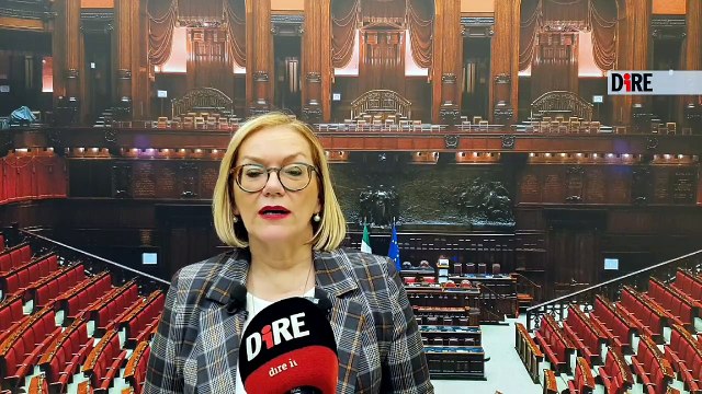 Ilenia Malavasi, membro della XII commissione (Affari sociali) della Camera.mp4