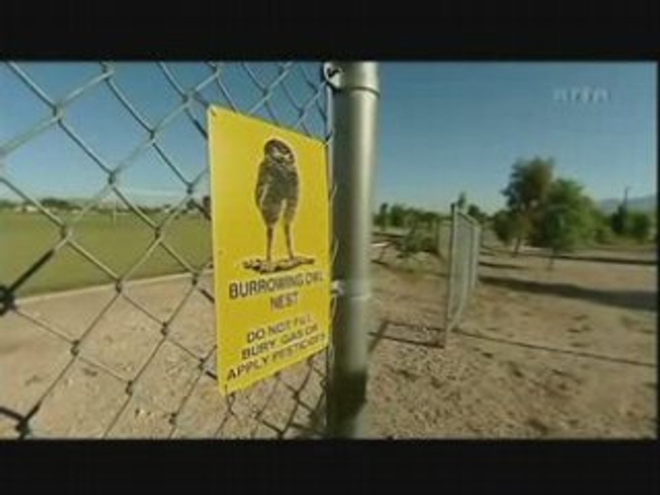 La Fabuleuse Histoire des Excrements.7