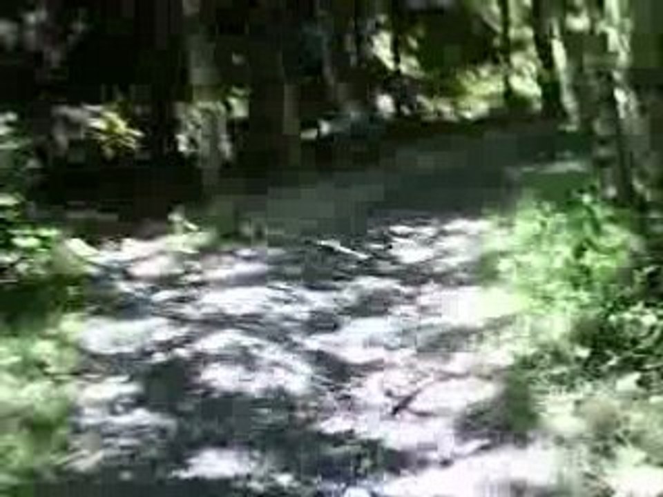 Venosc PiouPiouRiders