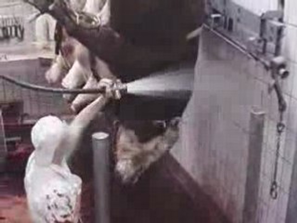 A voir : Larmes derrière la paroi de fer