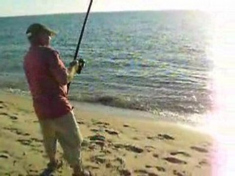 Sortie cap ferret 01 2008 441