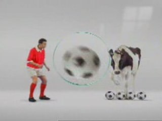 La vache et le foot