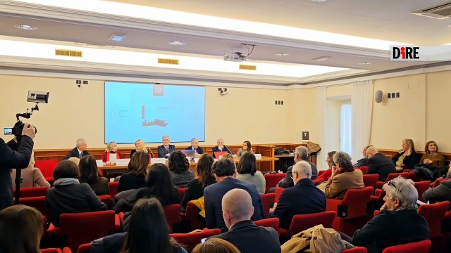 Luciano Ciocchetti, vicepresidente della XII commissione Affari sociali della Camera.mp4