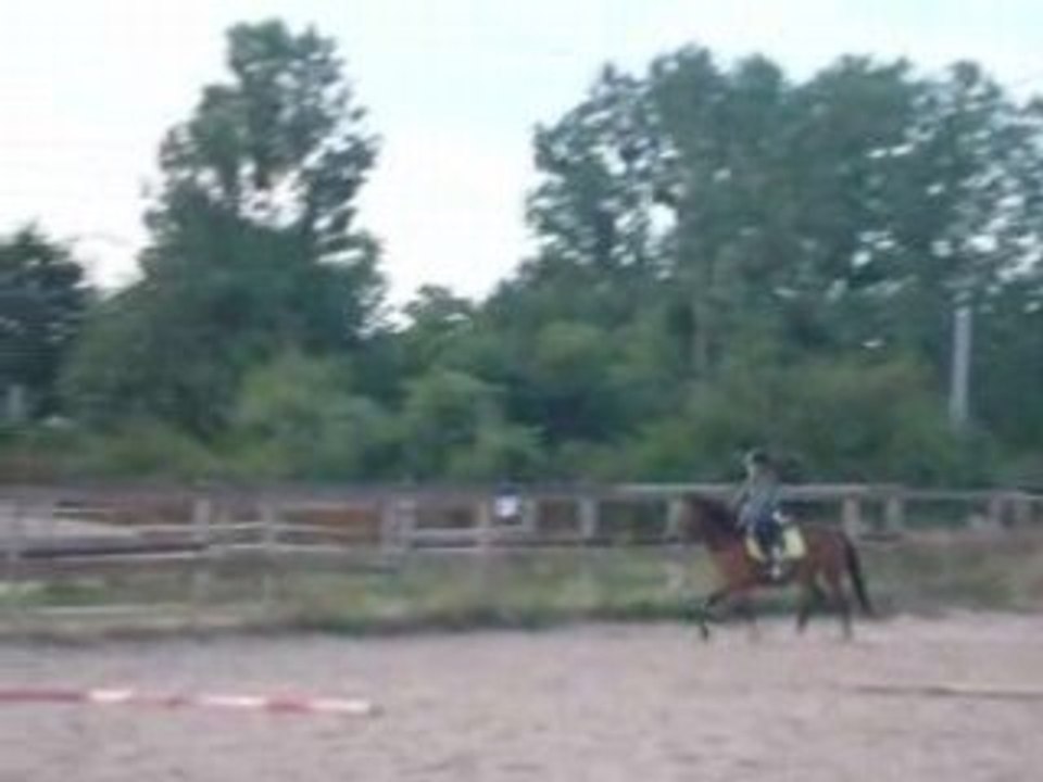 Girouette trot