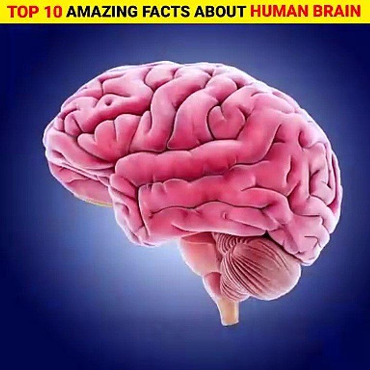 Top 10 amazing and intresting facts about human...