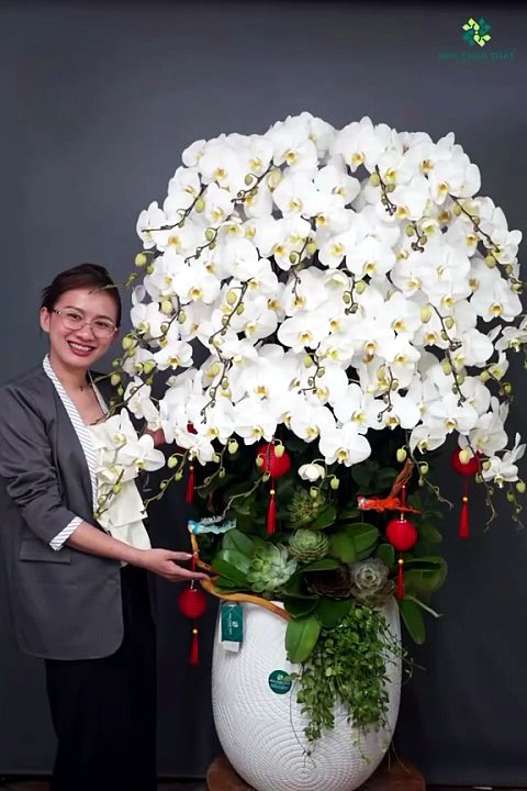 LAN HỒ ĐIỆP TRẮNG