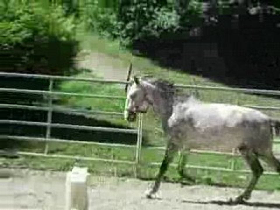 DSCN5189