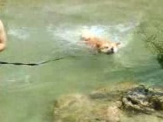 Coumat à l'Estéron