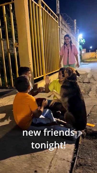 These Boys Treated a Stray Dog Like Family 🥹🐶