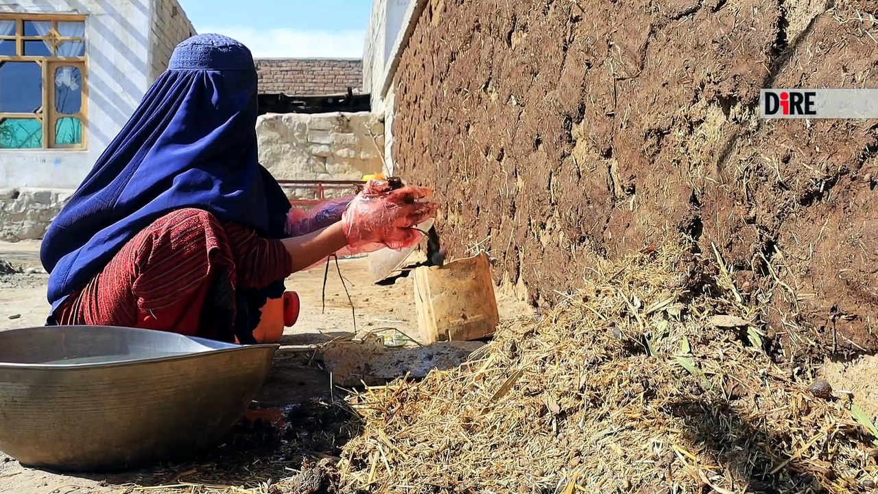 In Afghanistan è italiano il progetto 'Semi di Rinascita' per l'Est colpito dal sisma