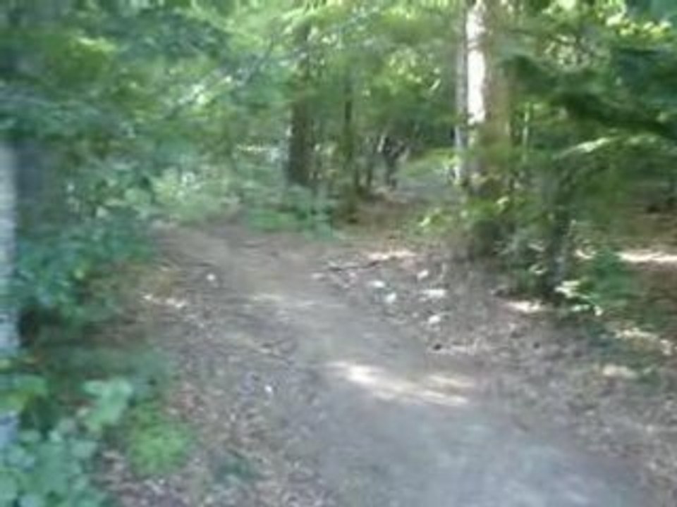 airsoft op 28 juin SOF