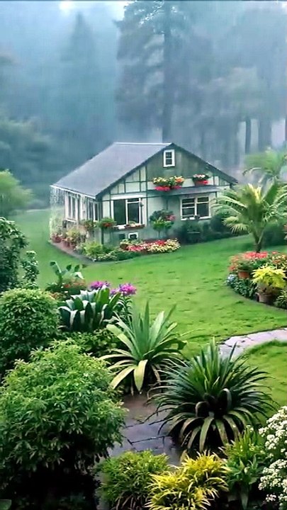 beautiful place with cozy rain