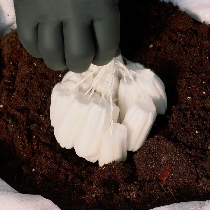 Starting from Scratch: Building a Positive Outlook with Simple Gardening Tips