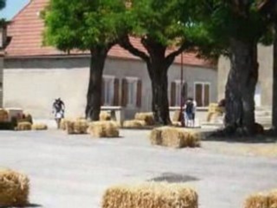 Verjux solex