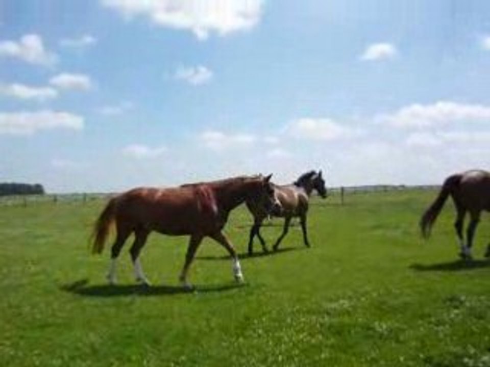 P1000285
