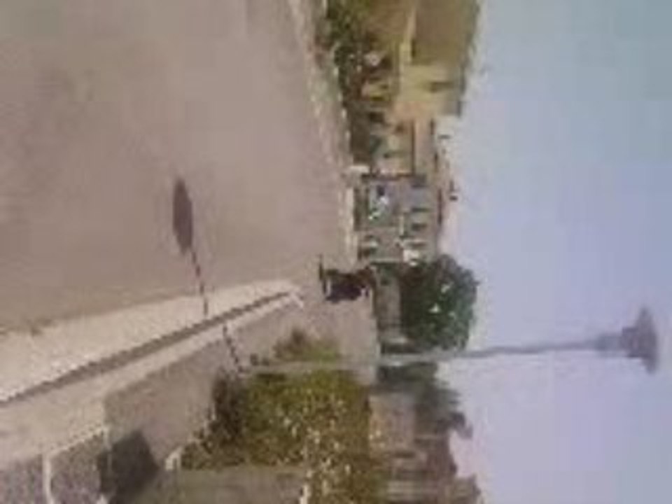 el_piaf et son scoot