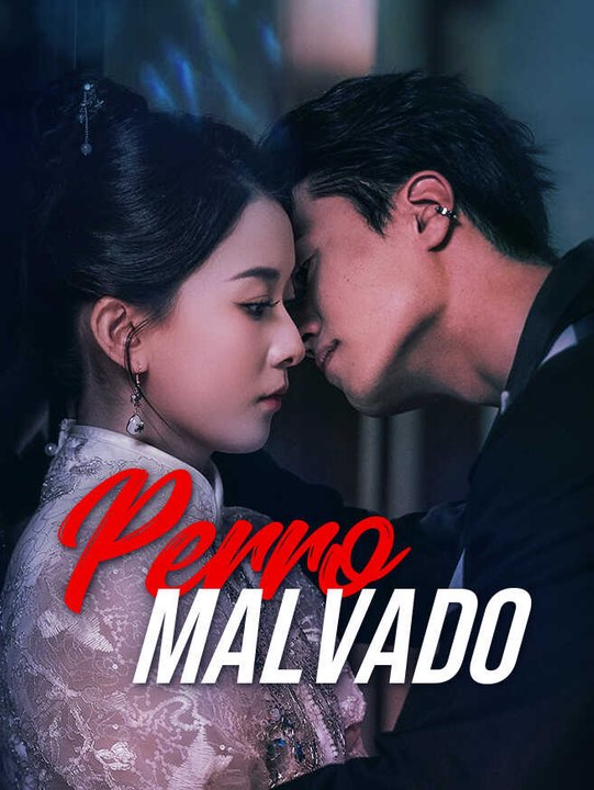 Perro malvado | Serie Completa | Short Drama Español