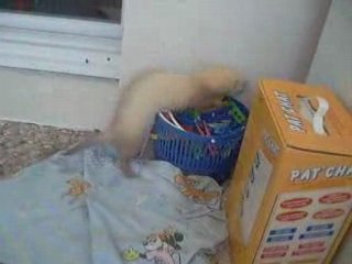 Kiara et les pinces à linge