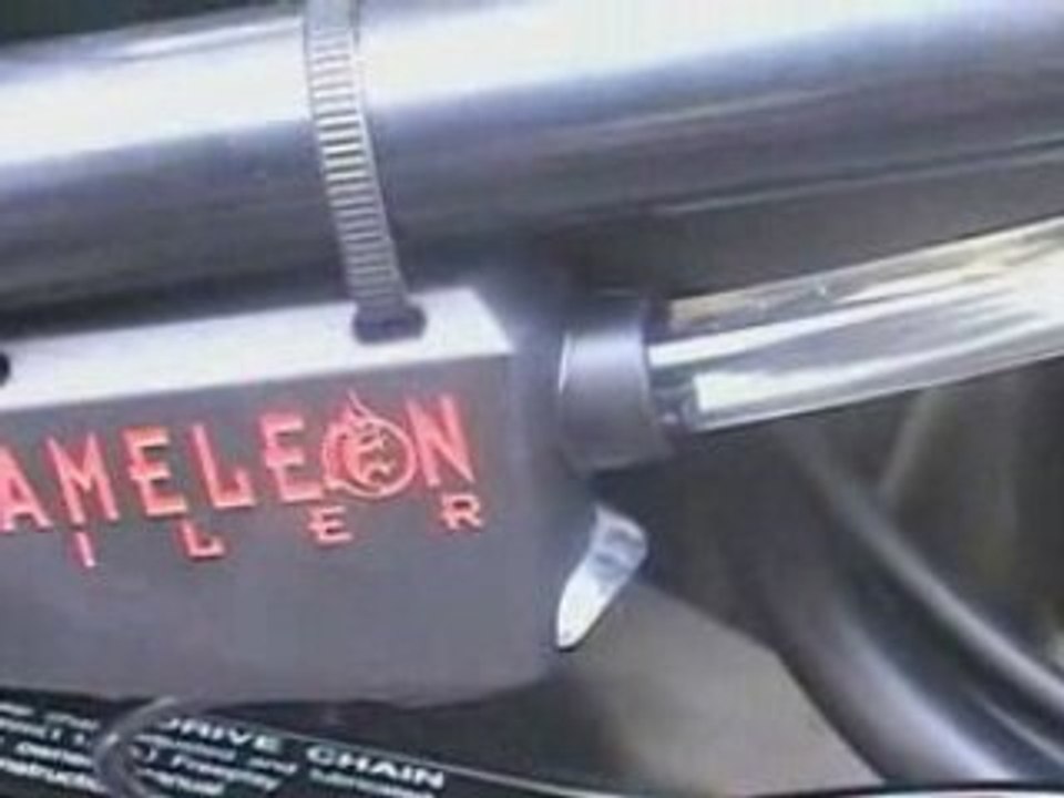 Film cameleon oiler  pour site web imge mouvante_avi