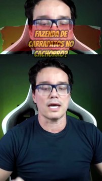 Fazenda-de-carrapatos-no-cachorro