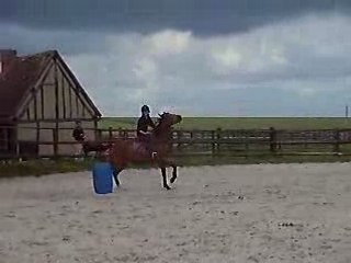 Audrey Sun barrel race