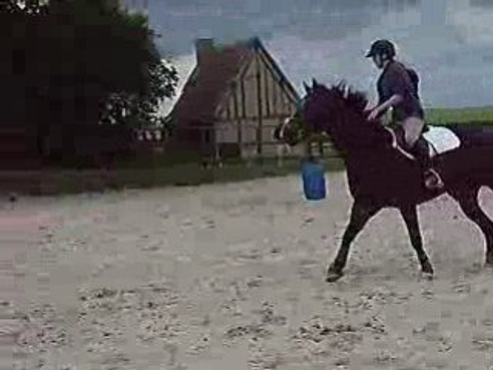 Audrey Zazoobarrel race
