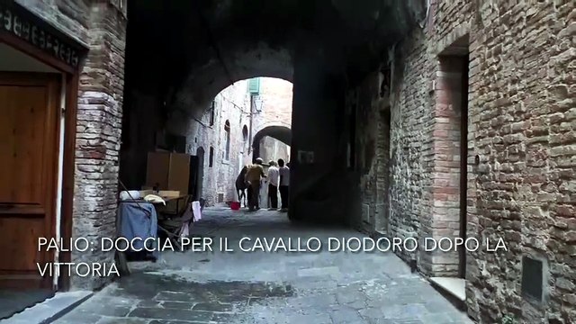 Palio di Siena, doccia per il cavallo vincitore Diodoro dopo la vittoria nell'Aquila con Tittia