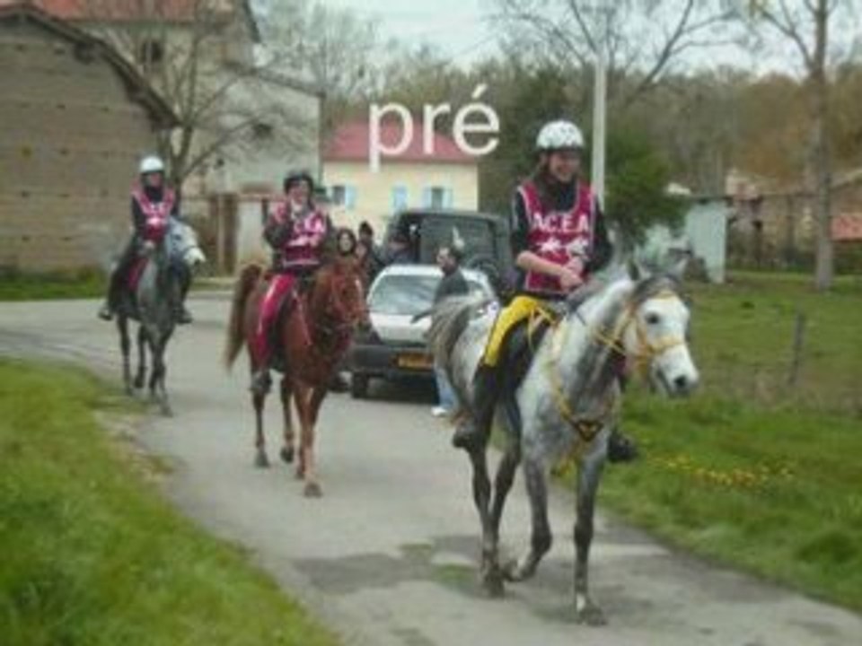 Ecurie
