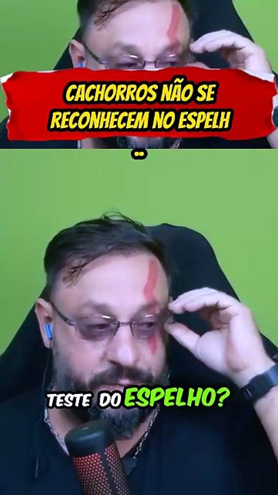 Cachorros-nao-se-reconhecem-no-espelho