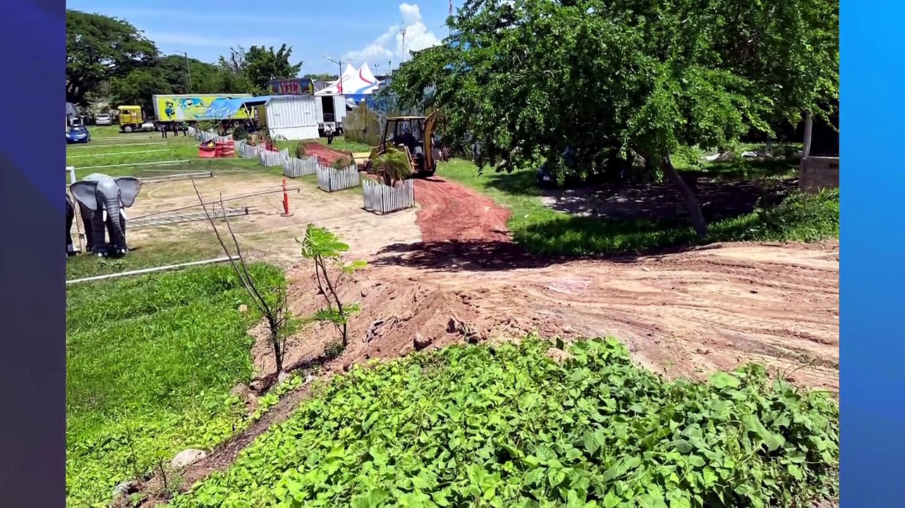 Colonos denuncian invasión de área verde en El Pitillal | CPS Noticias Puerto Vallarta
