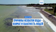Озеро Веленце высыхает: жара и ошибки управления обнажают дно