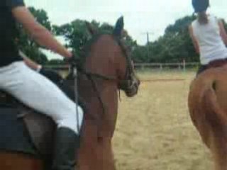 Carousel de saut d'obstacles