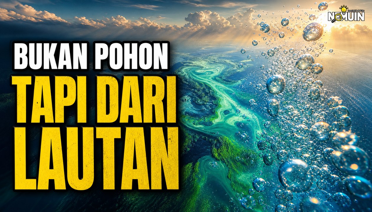 Fakta Mengejutkan: Ternyata Lautan yang Menyuplai Sebagian Besar Oksigen Kita