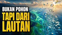 Fakta Mengejutkan: Ternyata Lautan yang Menyuplai Sebagian Besar Oksigen Kita