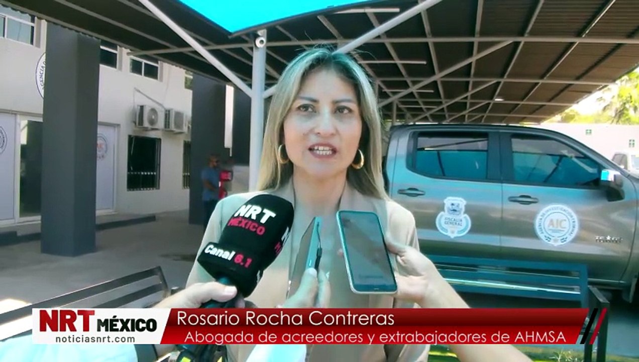 Detención de Gilda Lozoya no frenala quiebra de AHMSA