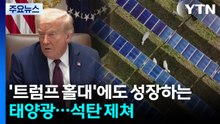 '트럼프 홀대'에도 성장하는 태양광...처음으로 석탄 제쳐 / YTN