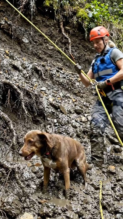 Rescue