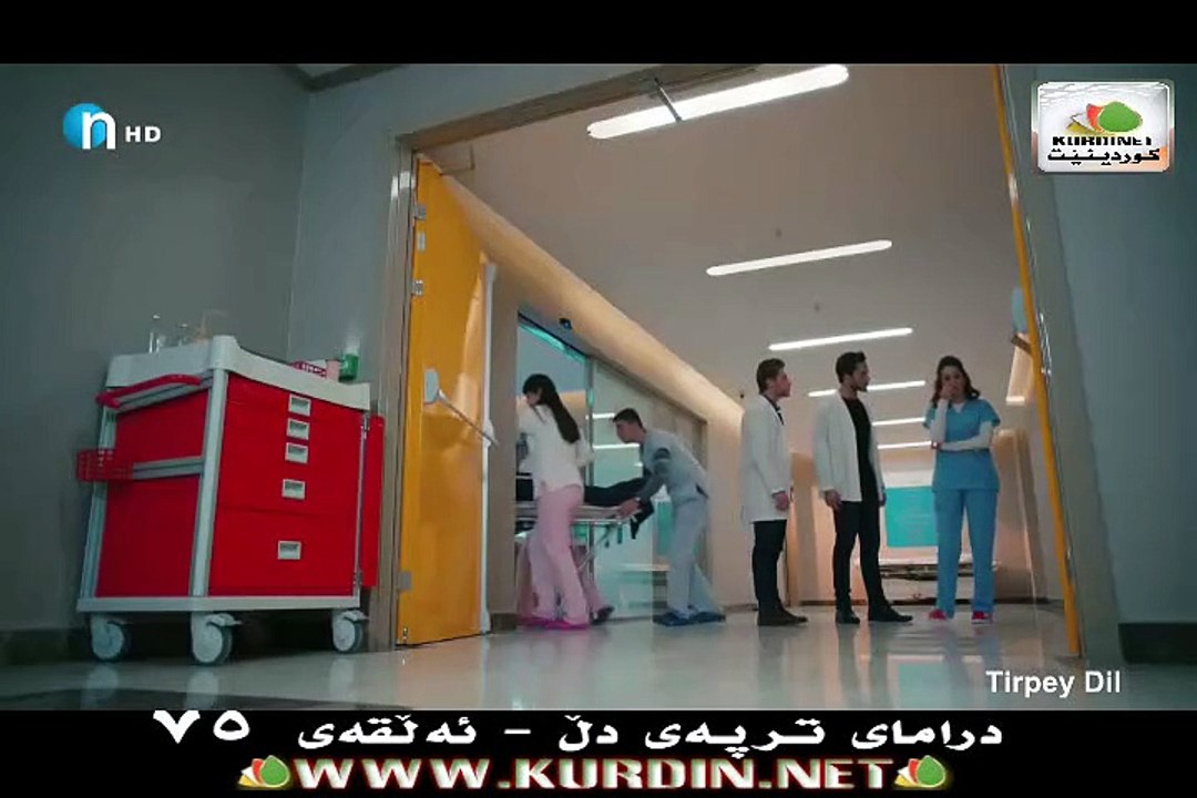 ترپەی دڵ ئەڵقەی 75